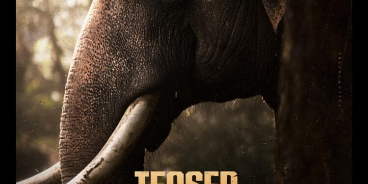 క్యూబ్స్ ఎంటర్టైన్మెంట్స్ “కటాలన్” టీజర్ రిలీజ్